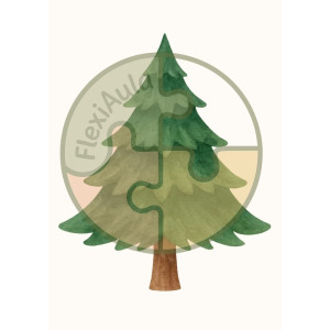 Fes l’arbre de Nadal