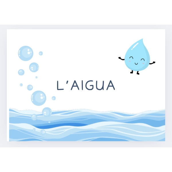 PROJECTE AIGUA