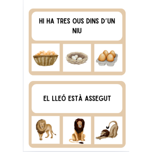 LECTOESCRIPTURA RACONS DE LLENGUA