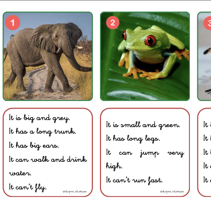 Animals descriptions