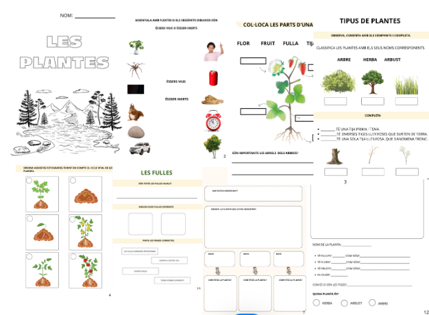 LES PLANTES PROJECTE