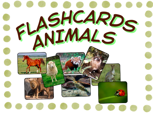 FLASHCARDS ANIMALES