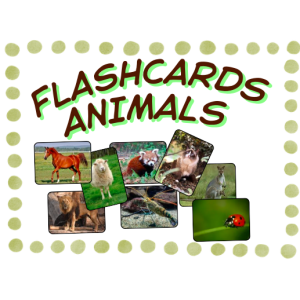 FLASHCARDS ANIMALES