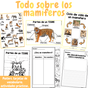 Todo sobre los mamíferos - Conocimiento del medio