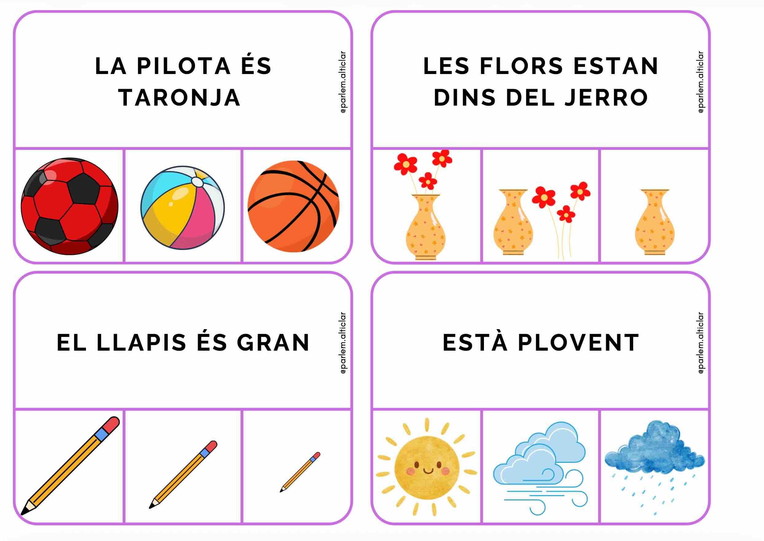 Escull la imatge correcta