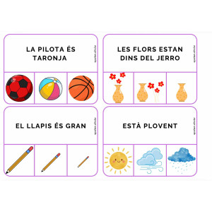 Escull la imatge correcta