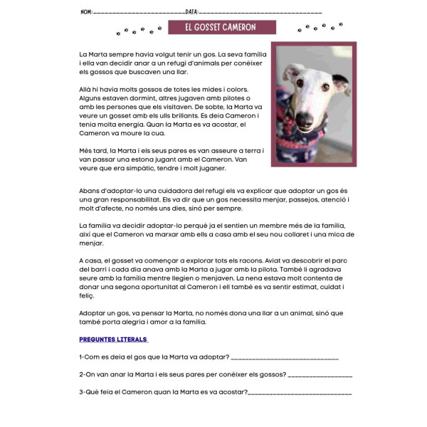 Comprensió lectora: El gosset Cameron