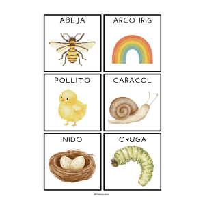 FLASHCARDS PRIMAVERA