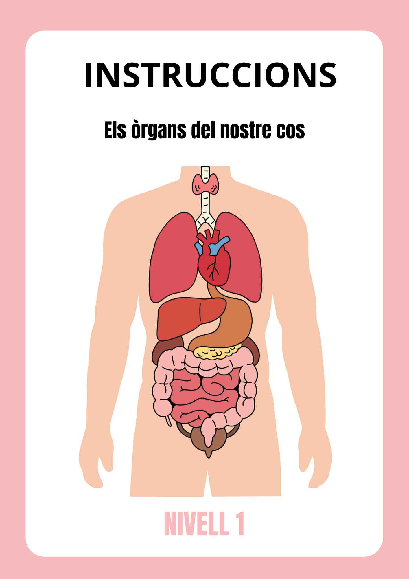 Els òrgans del nostre cos