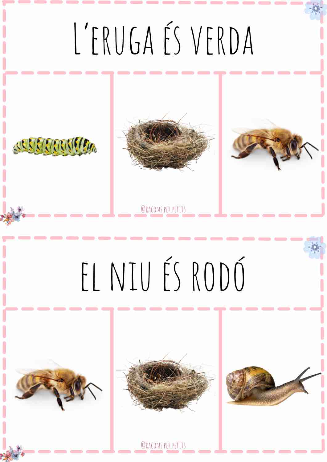 Lectura de frases Primavera