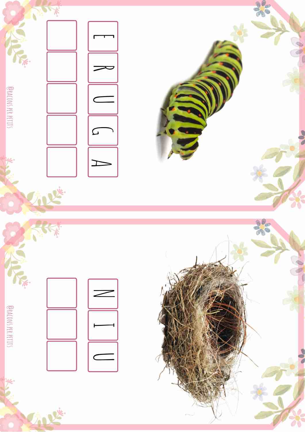 Copia les paraules Primavera