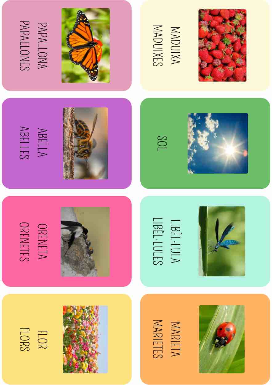 Vocabulari Primavera