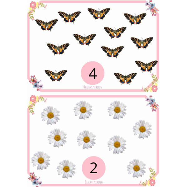 Agrupacions Primavera