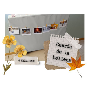 Cuerda de la belleza