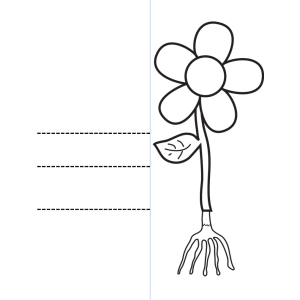 FlipBook - Partes de la flor (ES/ENG)