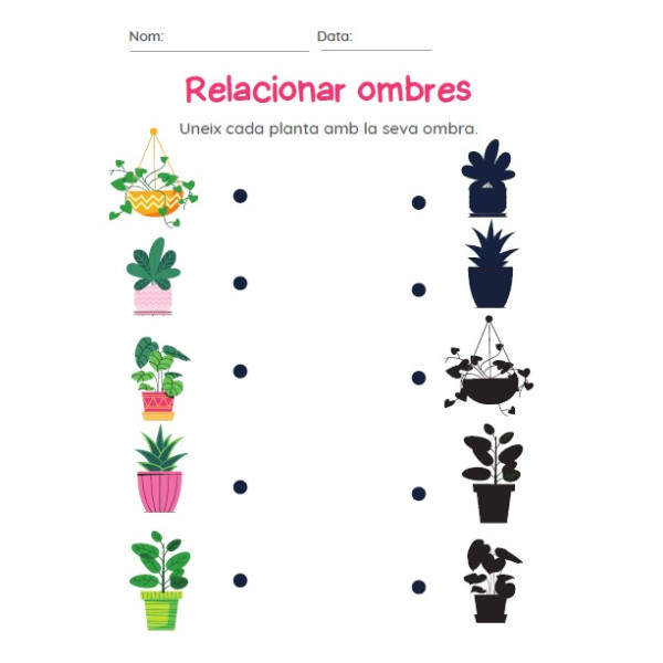 Relacionar objectes amb les seves ombres.