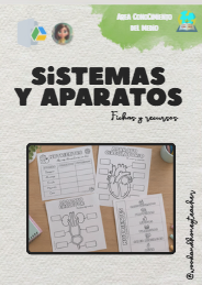 🫀🫁🧠 ¡Descubrimos cómo funciona nuestro cuerpo! 🥦✨