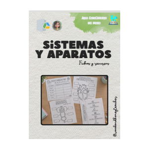 🫀🫁🧠 ¡Descubrimos cómo funciona nuestro cuerpo! 🥦✨
