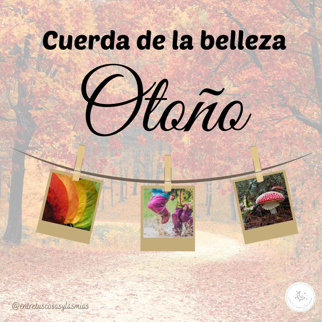 Cuerda de la belleza Otoño 1