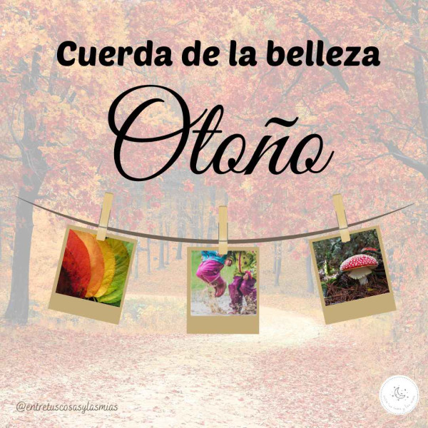 Cuerda de la belleza Otoño 1